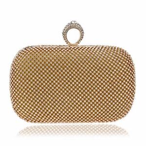 Gold Mesh Evening Clutch